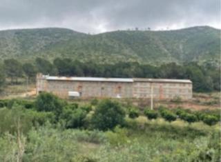 Fabrikhalle in Cheste