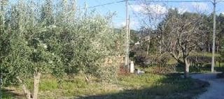 Rural plot in El Llombo