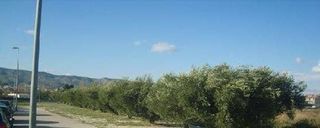 Fondo rustico in El Llombo
