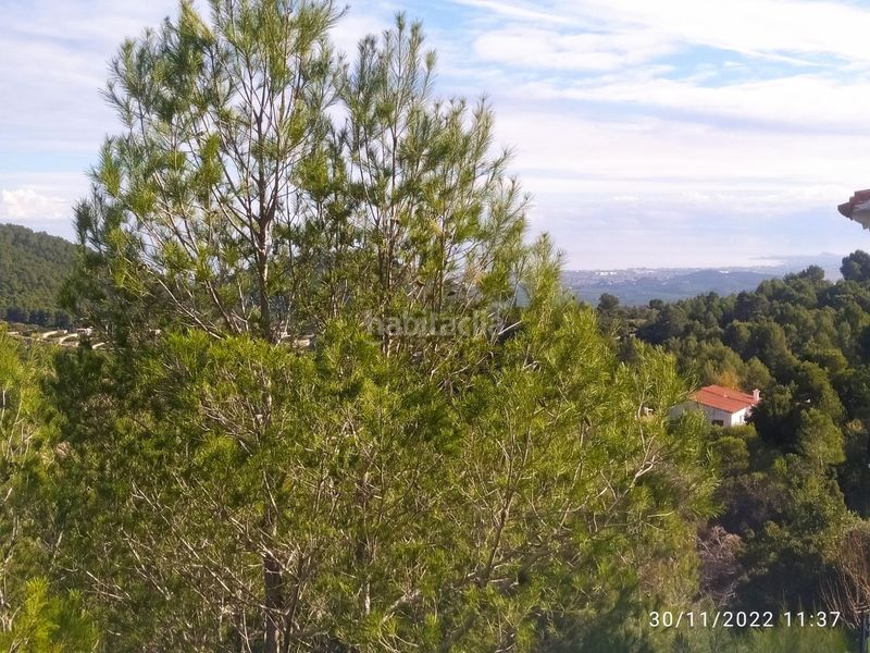 Foto 3ade5548-f8a7-45ac-824a-0804ffe8ab5f. Chalet mit heizung parking in Oliva pueblo Oliva