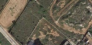 Terreno residenziale in El Pilar