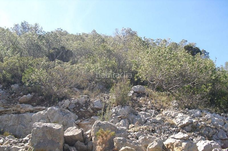 Foto 96a2ecbe-07f9-4ff6-bf80-732f767eb468. Finca rústica en Alcossebre