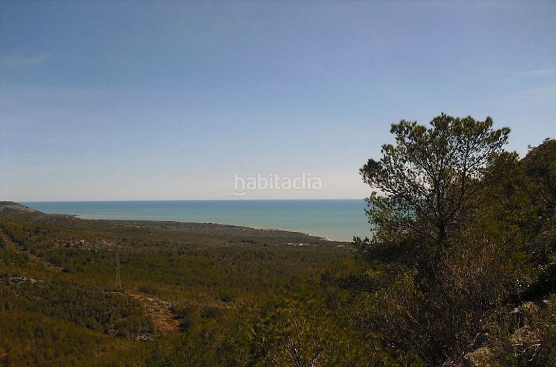 Foto 9dd1bbc7-e786-4937-87d0-8c21990369cf. Finca rústica en Alcossebre