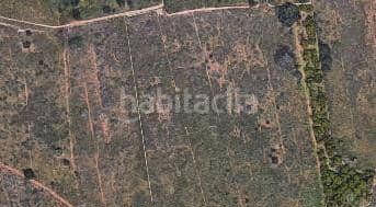 Foto 1c1ae668-7621-466c-8ad4-44102502b9ae. Finca rústica a Vall d´Uixó (la)