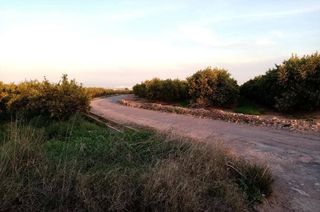 Finca rústica a Vall d´Uixó (la)