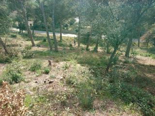 Solar industrial a Vilanova del Vallès. Solar en venta en vilanova del vallès