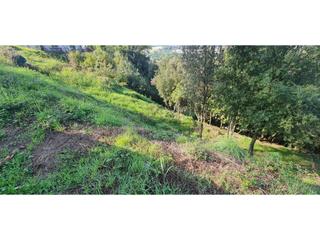Terrain industriel à Llinars del Vallès. Solar en venta en collsabadell