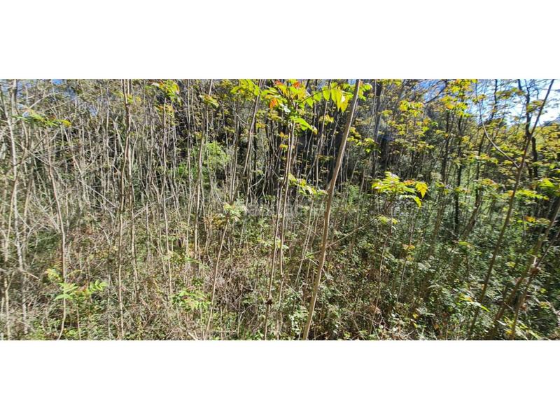 Foto 0a2c3a22-3cff-48d6-94fd-2e6a0f9d5e85. Finca rústica  no edificable con pozo. en Lliçà d´Amunt