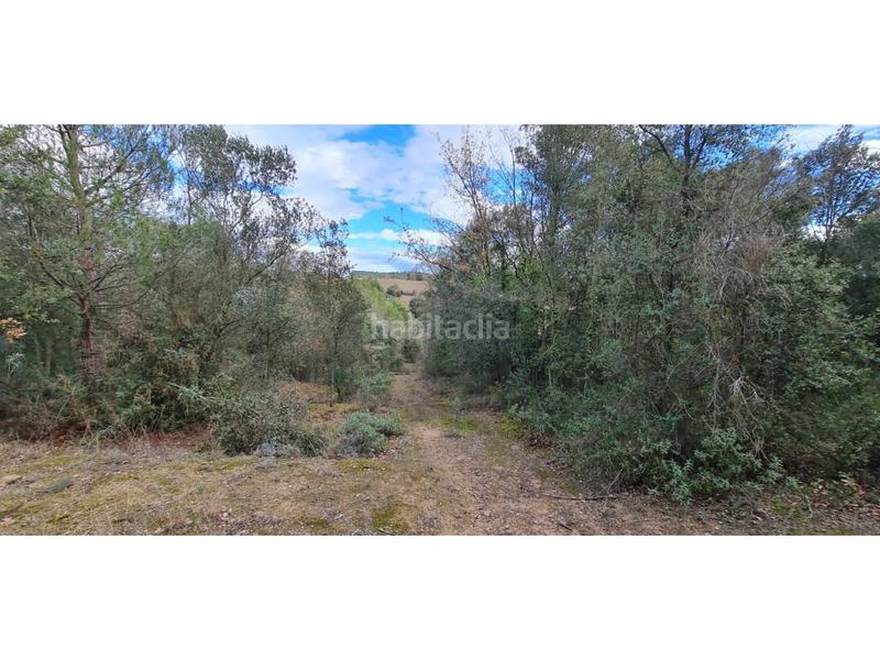Foto 128ab2f3-f767-449e-9d65-ec3e1a5f971b. Finca rústica  no edificable con pozo. en Lliçà d´Amunt