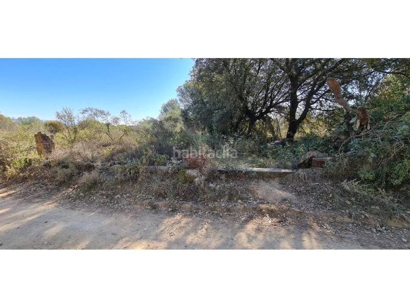 Foto 192d24b1-f9d4-4a06-ab65-7165dfc47433. Finca rústica  no edificable con pozo. en Lliçà d´Amunt