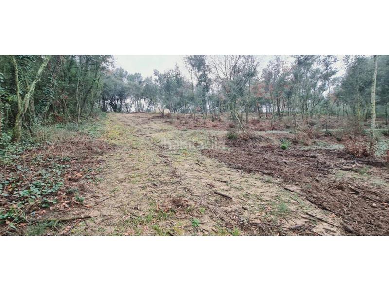 Foto 5f12d966-3071-488f-9547-e3316a35a151. Finca rústica  no edificable con pozo. en Lliçà d´Amunt