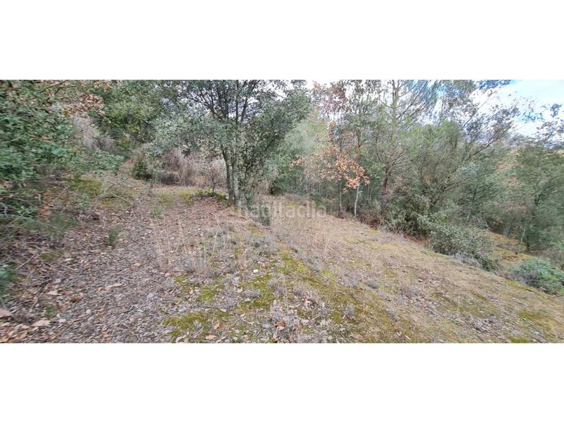 Foto 666e4c79-e13e-49fe-8b93-926cefe9bf13. Finca rústica  no edificable con pozo. en Lliçà d´Amunt