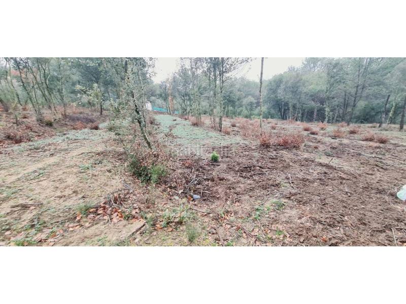 Foto 6901a83d-6a72-4422-b4a0-818799d94026. Finca rústica  no edificable con pozo. en Lliçà d´Amunt
