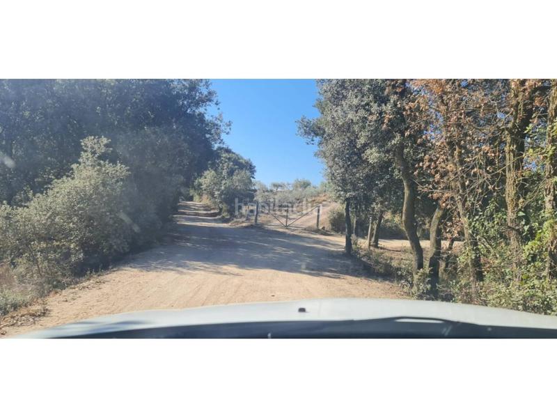 Foto 7d1afea5-8794-4872-9b3f-6aaf3ab9e345. Finca rústica  no edificable con pozo. en Lliçà d´Amunt