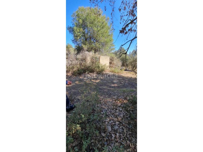 Foto 9f765dc7-2c97-4ce7-bef0-e81aaf6f3285. Finca rústica  no edificable con pozo. en Lliçà d´Amunt
