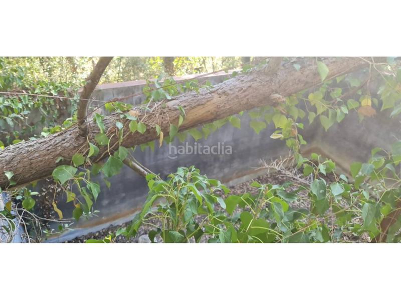 Foto a06b6e9d-18ba-4974-9b00-a9059ae1104f. Finca rústica  no edificable con pozo. en Lliçà d´Amunt