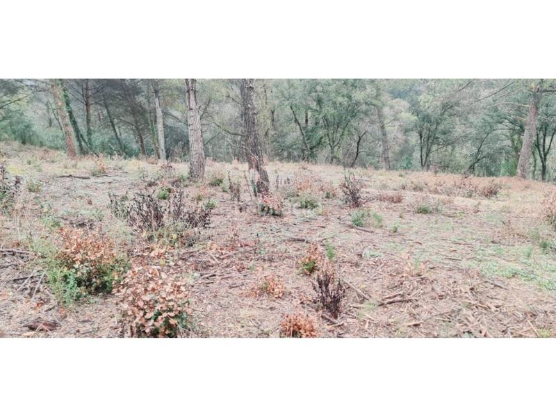 Foto c7f69f64-c085-4da2-b2e7-45a2b74ca76e. Finca rústica  no edificable con pozo. en Lliçà d´Amunt