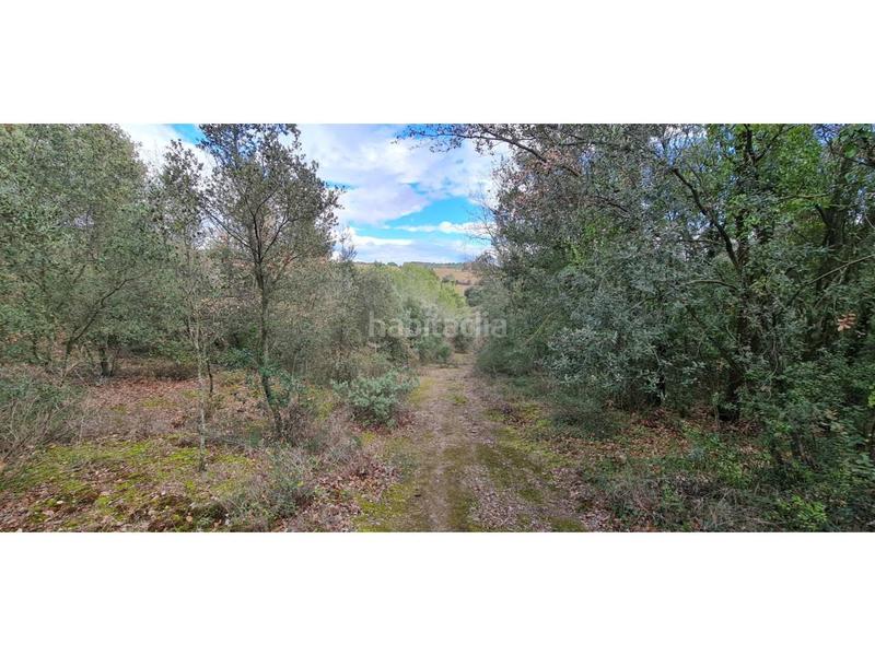 Foto f2bdb5c2-a1cf-4a58-b1d3-b78e885c2e7d. Finca rústica  no edificable con pozo. en Lliçà d´Amunt