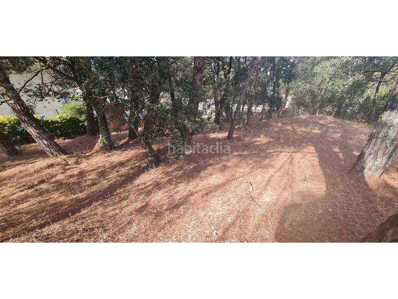 Foto b0f6c1d1-dae2-4846-adac-13670a8c253c. Finca rústica solar edificable en urb la canyera en Llagostera