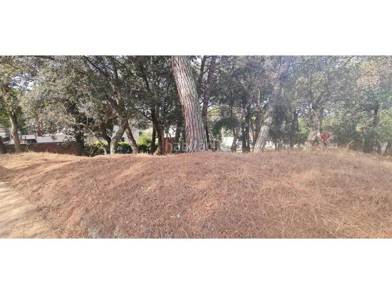 Foto d7dc3369-74d6-403e-83d2-62c160e8c4d5. Finca rústica solar edificable en urb la canyera en Llagostera