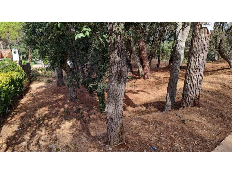 Foto e958a29e-b40a-4342-956b-0246e02d13f9. Finca rústica solar edificable en urb la canyera en Llagostera