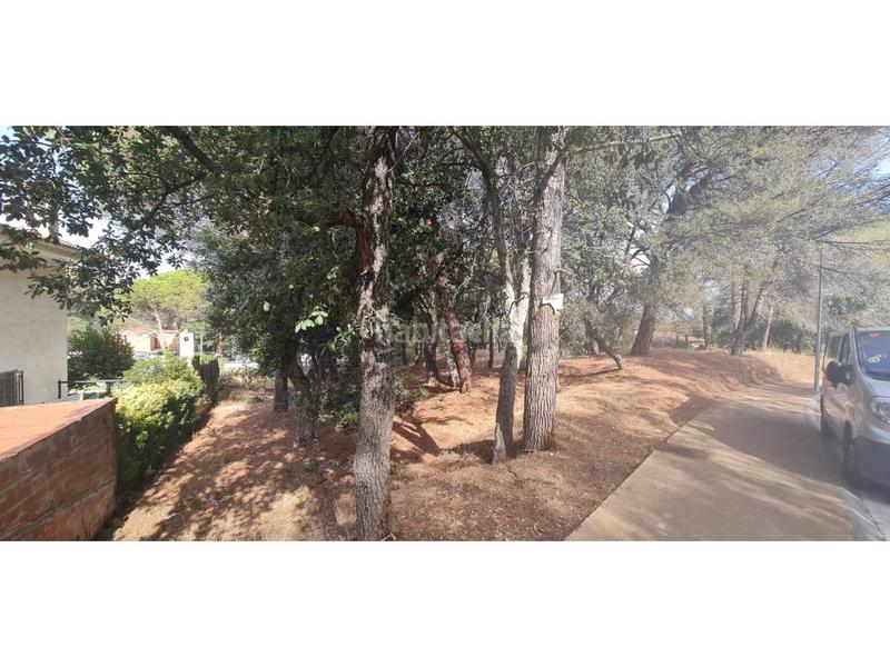 Foto ee67efd5-7cec-4fd3-8975-6b3fdd07fd55. Finca rústica solar edificable en urb la canyera en Llagostera