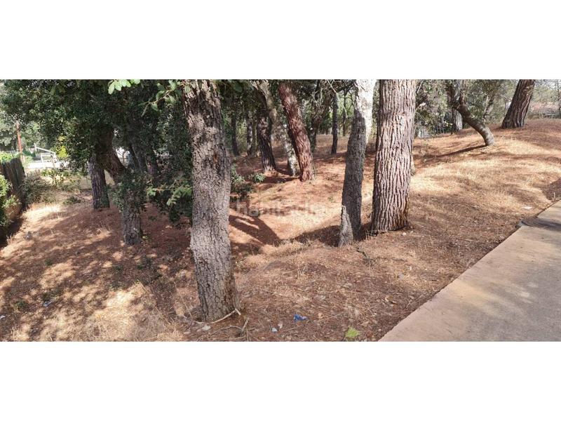 Foto f7843098-31b2-4b54-a9d7-30b934e2d8be. Finca rústica solar edificable en urb la canyera en Llagostera