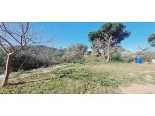 Terreno residencial en Tiana