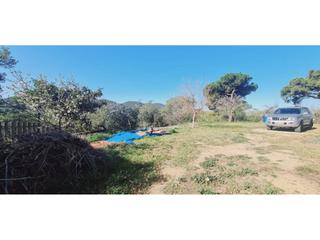 Landgut in Tiana. Terreno actualmente no edificable en venta en sant fost de camps
