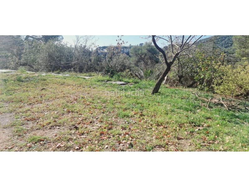 Foto 094c3f7a-7e10-4582-951c-5221bf5d9e86. Terreny residencial a Tiana