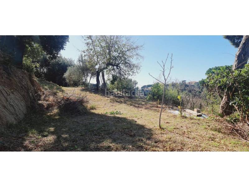 Foto 2f9c6c21-ecf0-4218-8f7d-4e2cf4447da2. Terreny residencial a Tiana