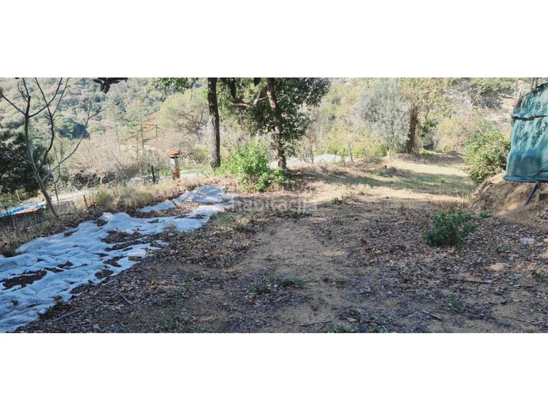 Foto 5f83fd97-6479-4210-9638-11bf98648580. Terreny residencial a Tiana