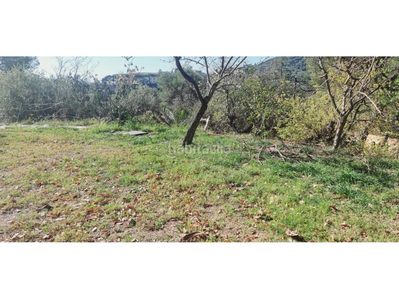 Foto 7630d7b9-eaaa-494b-b061-1e8473c4c183. Terreny residencial a Tiana