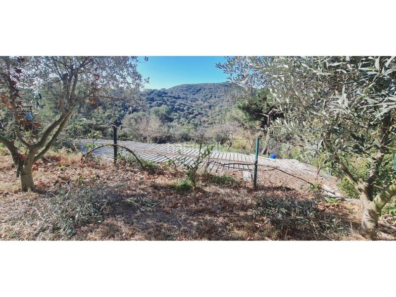 Foto 993860d4-a6e7-446b-88a7-18e86ed44858. Terreny residencial a Tiana