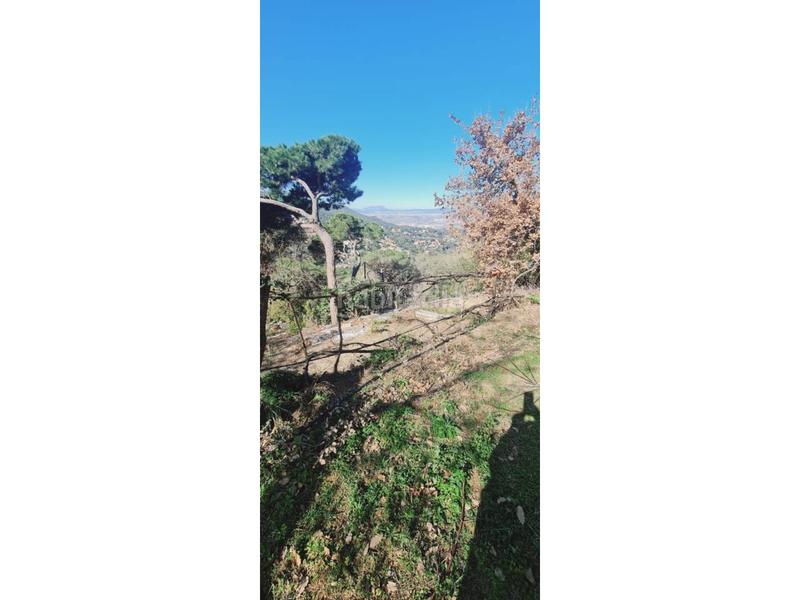 Foto d2a23344-c864-4872-82ce-3760788a3cf3. Terreny residencial a Tiana