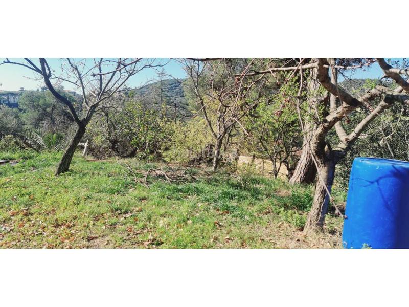 Foto d7379472-075b-4ed2-9b60-def46c7041ce. Terreny residencial a Tiana