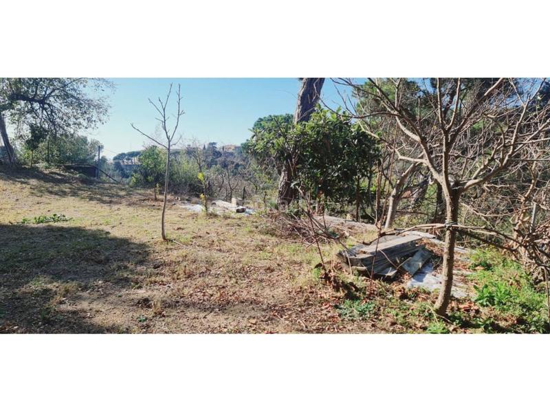 Foto ee5dfd69-c67a-4f4b-90cb-a9065775cae2. Terreny residencial a Tiana