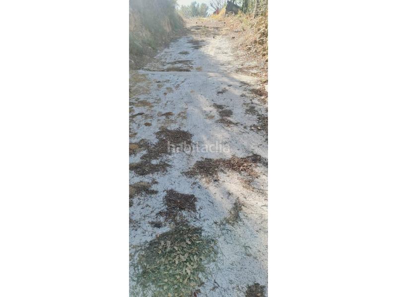 Foto f186d5fe-25c9-47fc-86ef-b5bd2d9c8cc7. Terreny residencial a Tiana