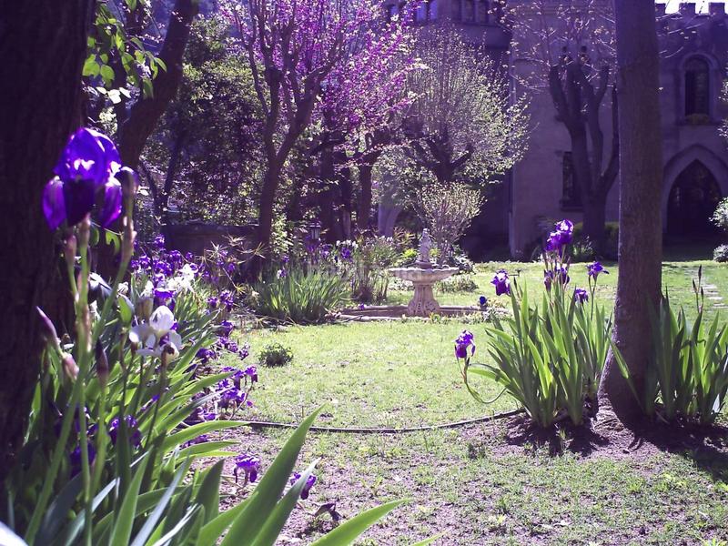 Foto d50dd9ae-9f6b-4b4d-881a-dc088f2718a0. Haus mit heizung pool in Figaró-Montmany