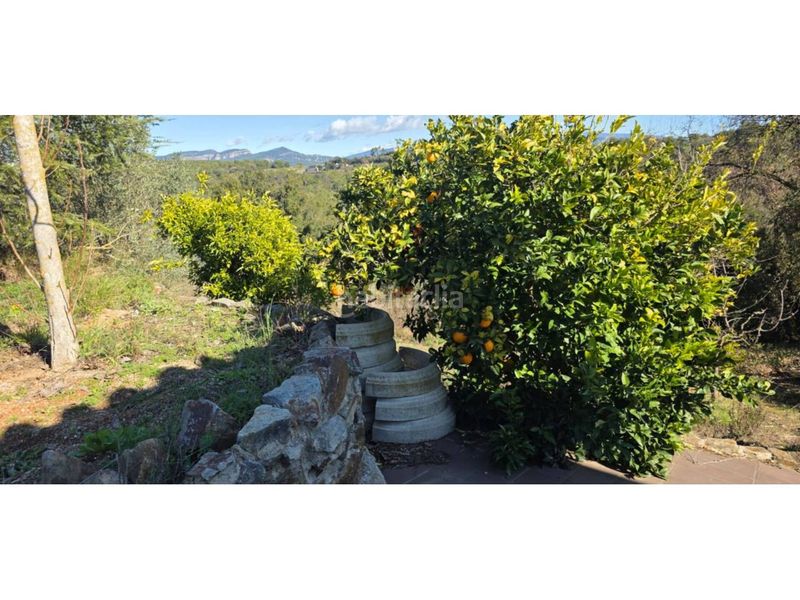 Foto c3e9bd7d-3801-4617-8aa2-477bd3c5569b. Casa amb piscina a Lliçà d´Amunt