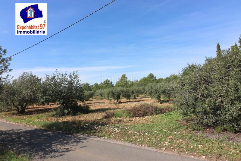 Foto 7c9c7bda-1601-4069-a484-c42da4f678e3. Wohngrundstück in carrer partida tarrès in Poble Mont-roig del Camp