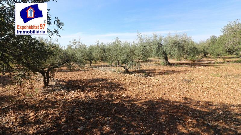 Foto a2f5997b-a826-4100-9604-dc0a44c87790. Wohngrundstück in carrer partida tarrès in Poble Mont-roig del Camp