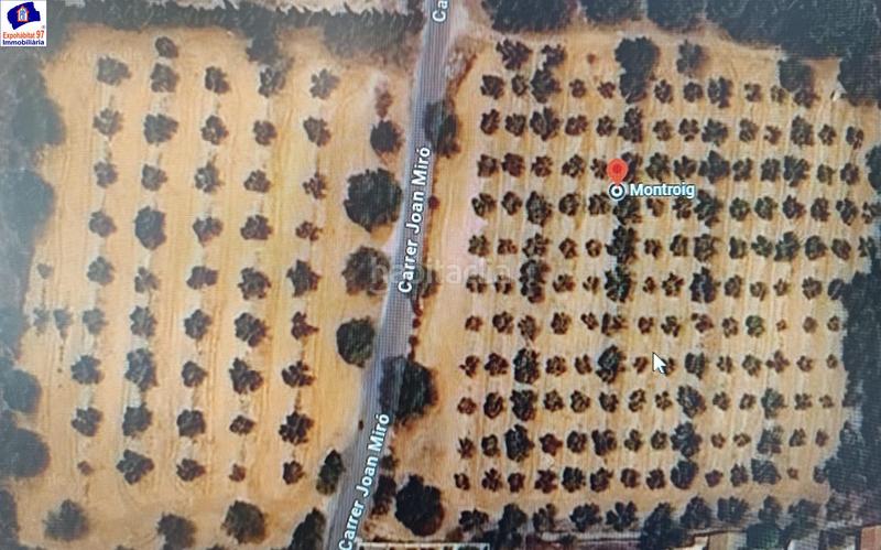 Foto a3f8c303-5d16-48b4-9f6b-e9f11769fcb8. Wohngrundstück in carrer partida tarrès in Poble Mont-roig del Camp