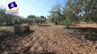 Terreny residencial a Carrer partida tarrès. Finca rustica con pozo de agua en montroig del camp