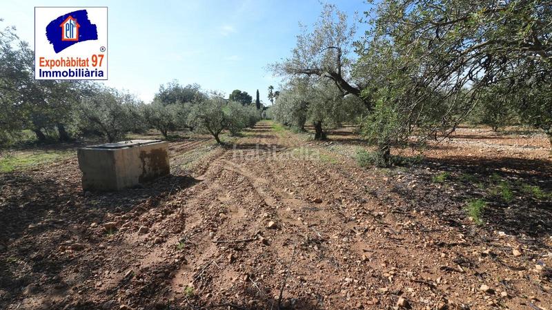 Foto d182ef09-667c-471f-b769-e2c21650aa65. Wohngrundstück in carrer partida tarrès in Poble Mont-roig del Camp