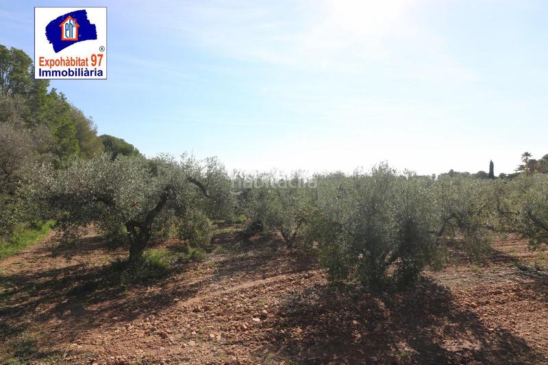 Foto d44c9a17-1485-469e-9720-608ccea4bf8f. Wohngrundstück in carrer partida tarrès in Poble Mont-roig del Camp