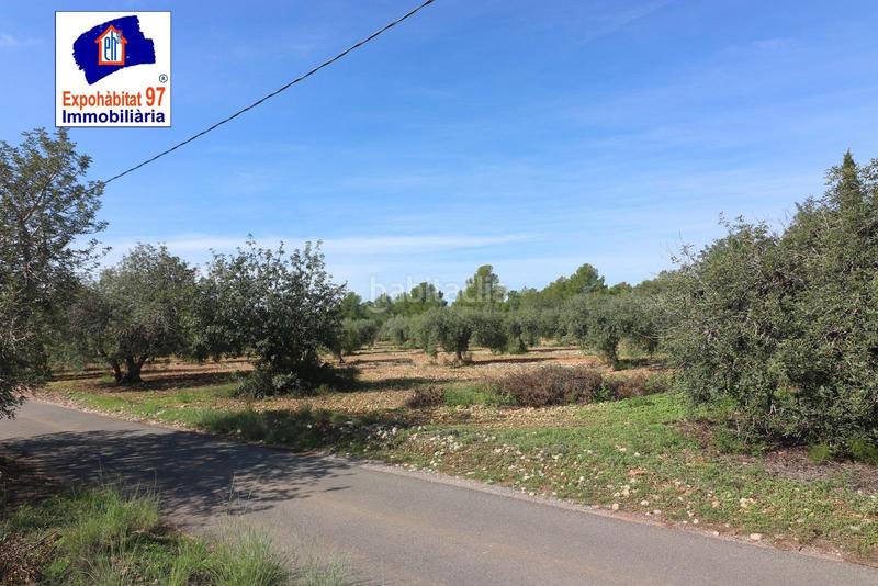 Foto e3e7a7f5-c702-41ed-ad6d-c58a508c2e64. Wohngrundstück in carrer partida tarrès in Poble Mont-roig del Camp