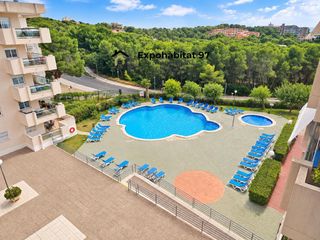 Apartamento en BOSC GRAN EL 8