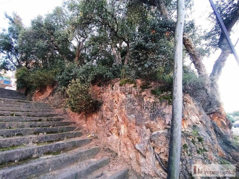 Foto 694ee09c-5478-42ec-b004-54b5169a0a8b. Terreno residencial solar en Volta de l´Ametller Sant Feliu de Guíxols