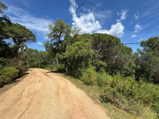 Finca rústica  Can reixach. Terreno en venta en santa cristina daro